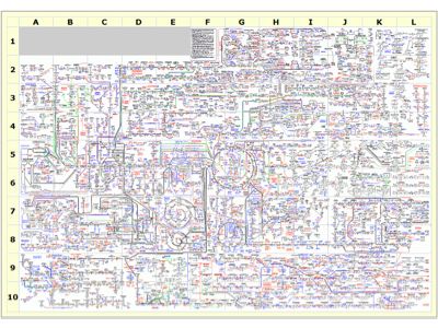 Metabolic Cycle